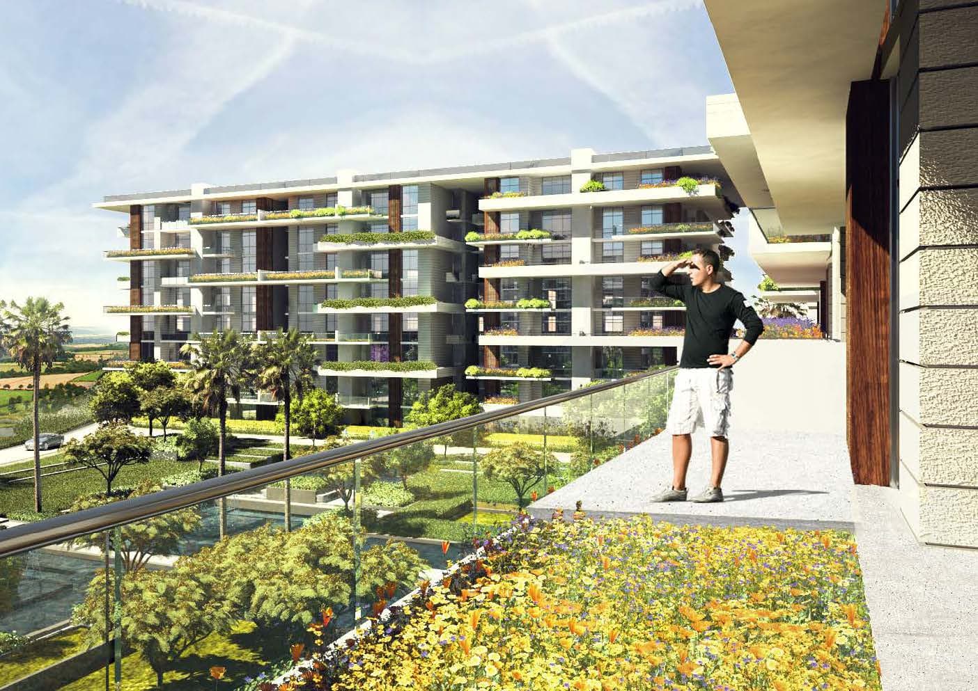 Duplex, De Joya 1