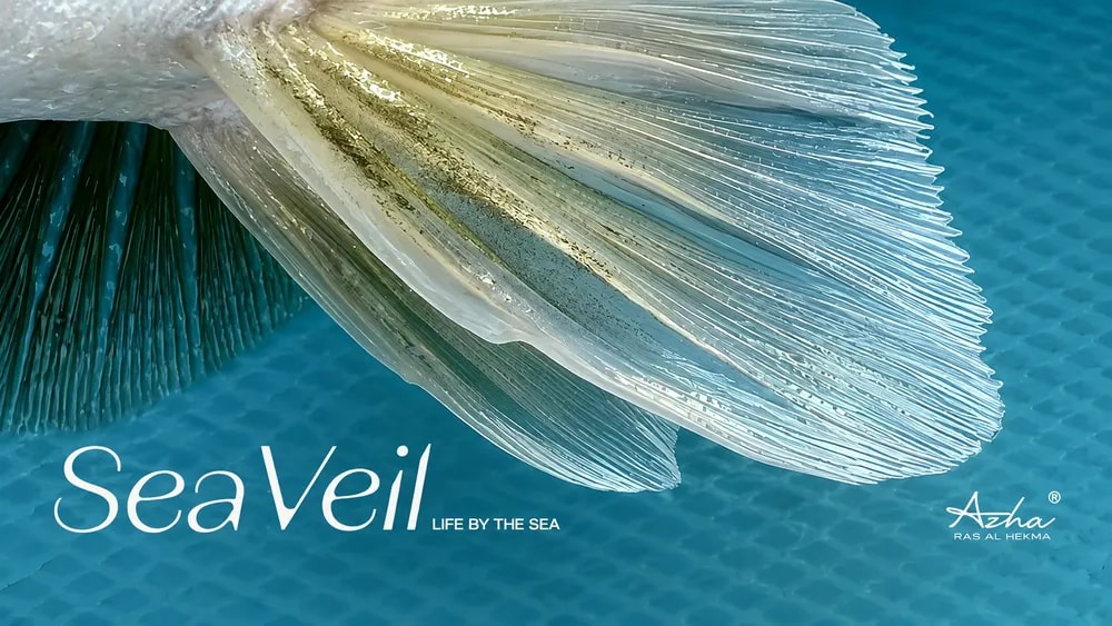 سي فيل
